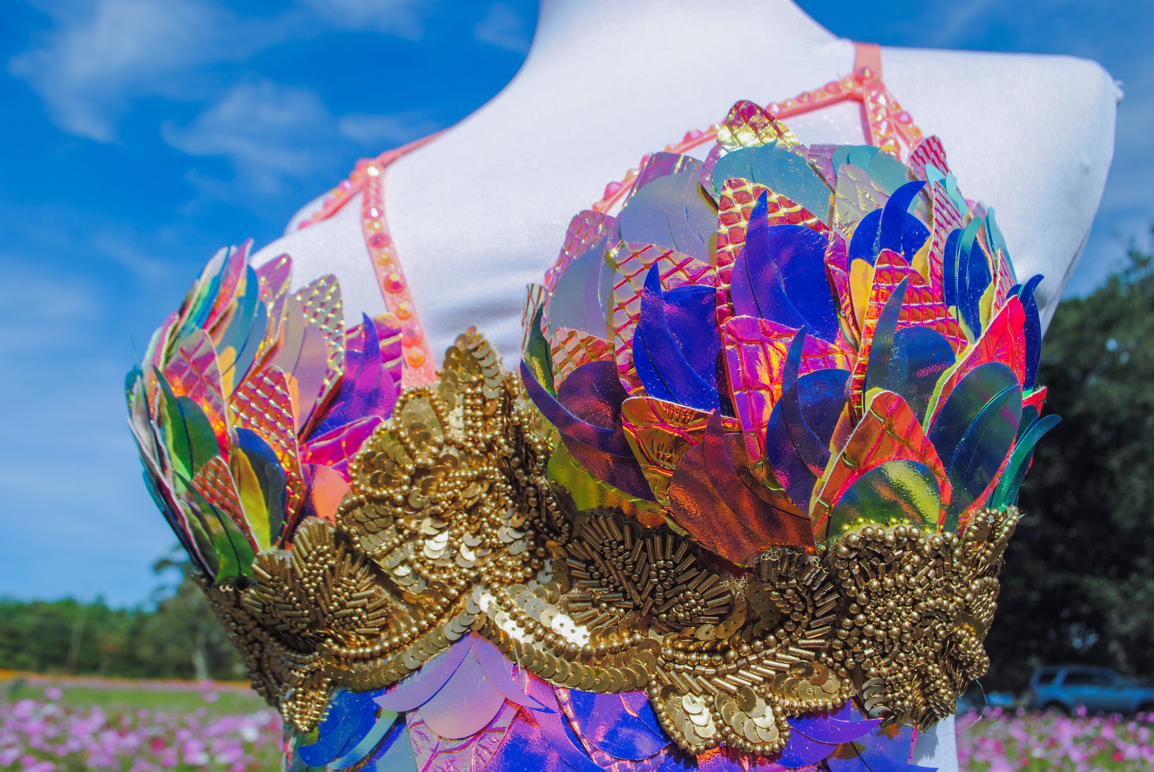 Sunset Dragon Warrior Bra - 34C/36B