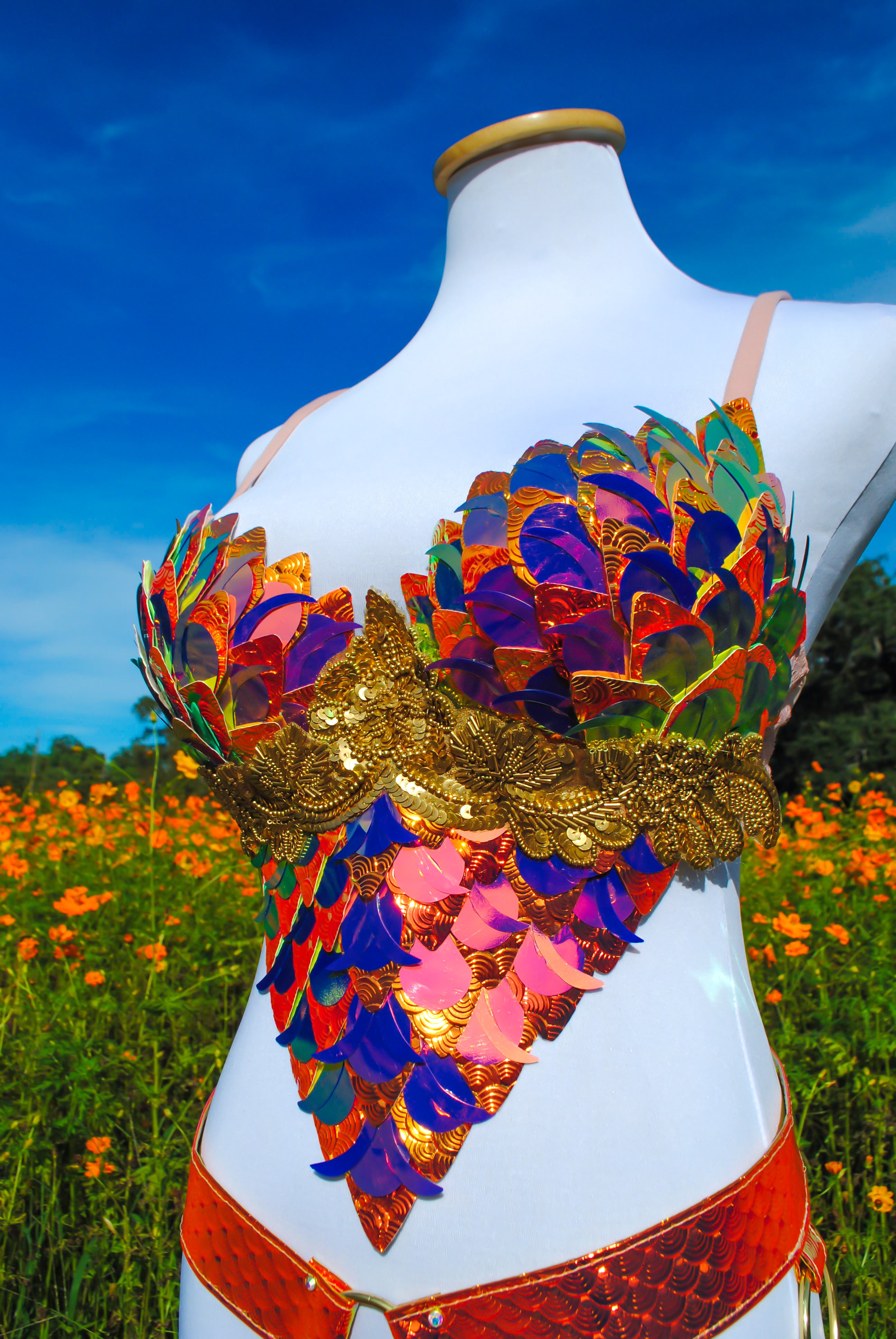 Sunset Dragon Warrior Bra - 34D/36C